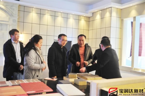 熱烈歡迎我市常務副市長馮援召一行蒞臨寶潤達