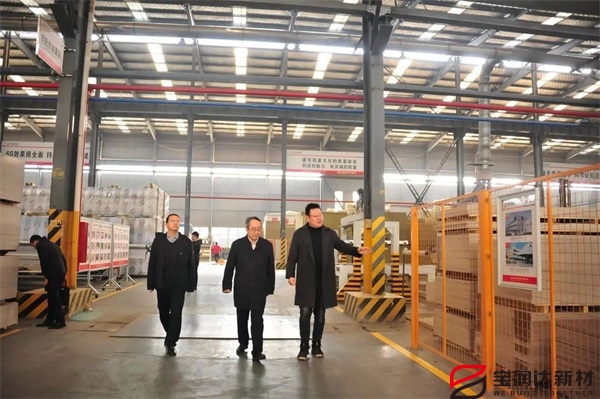 懷寧縣書(shū)記余學(xué)峰一行蒞臨寶潤(rùn)達(dá)參觀交流